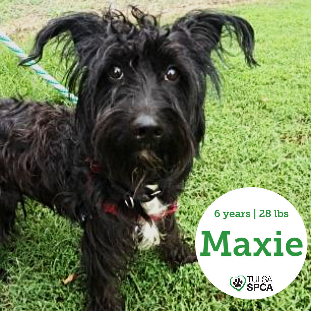 Maxie